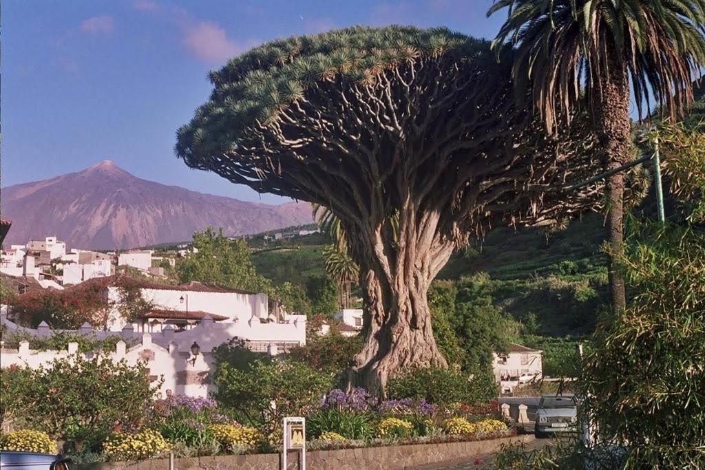لا لاغونا Villa Violeta المظهر الخارجي الصورة